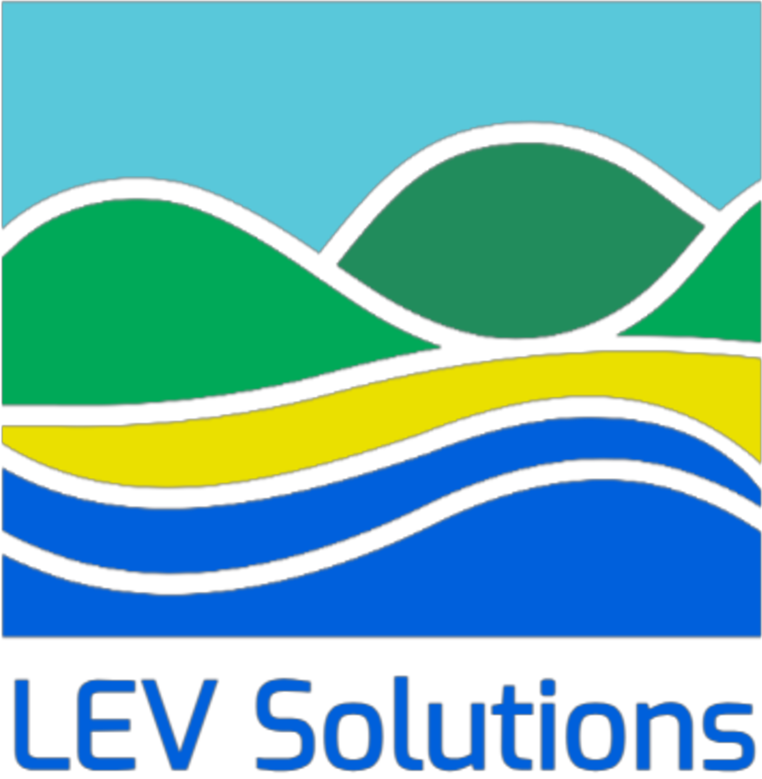 LEV Solutions